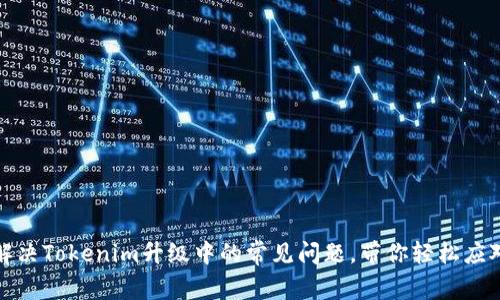 如何解决Tokenim升级中的常见问题，带你轻松应对挑战