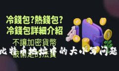 如何正确处理比特币地址中的大小写问题，避免