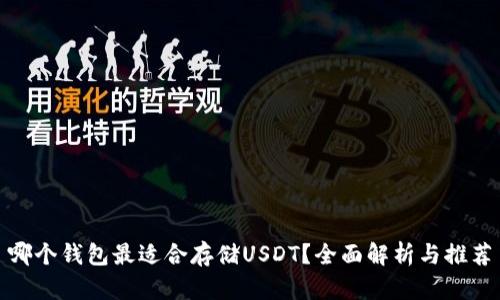 哪个钱包最适合存储USDT？全面解析与推荐