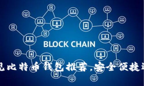 国内常见比特币钱包推荐，安全便捷选择指南