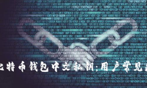 如何安全管理比特币钱包中文私钥：用户常见痛点与解决方案