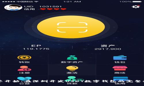 从零开始：在深圳开发USDT数字钱包的完整指南