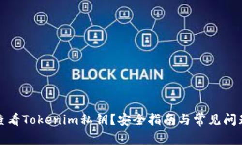 如何查看Tokenim私钥？安全指南与常见问题解答