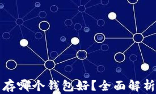 
比特币存哪个钱包好？全面解析与建议