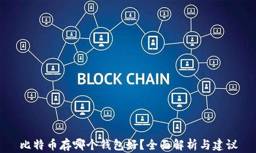 
比特币存哪个钱包好？全面解析与建议