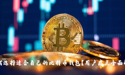 如何选择适合自己的比特币钱包？用户痛点全面解析
