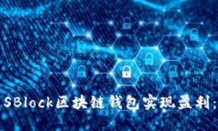 如何通过SBlock区块链钱包
