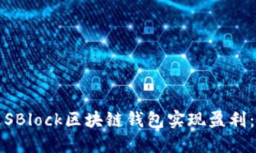 如何通过SBlock区块链钱包实现盈利：完整指南
