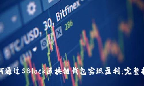 如何通过SBlock区块链钱包实现盈利：完整指南