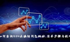 如何查询BSN区块链钱包地址：简单步骤与技巧