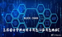怎样安全管理比特币钱包