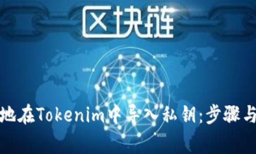如何安全地在Tokenim中导入私钥:步骤与注意事项