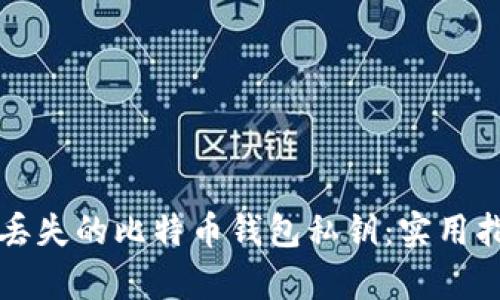 如何恢复丢失的比特币钱包私钥：实用指南与提示