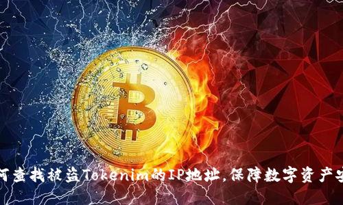 如何查找被盗Tokenim的IP地址，保障数字资产安全