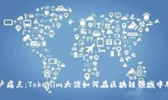 解决用户痛点：Tokenim大佬如何在区块链领域中脱